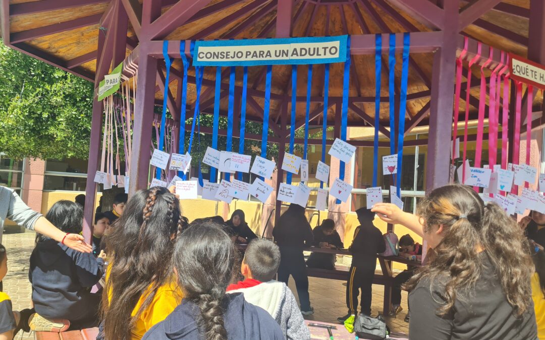 CONOCIENDO TU OPINIÓN