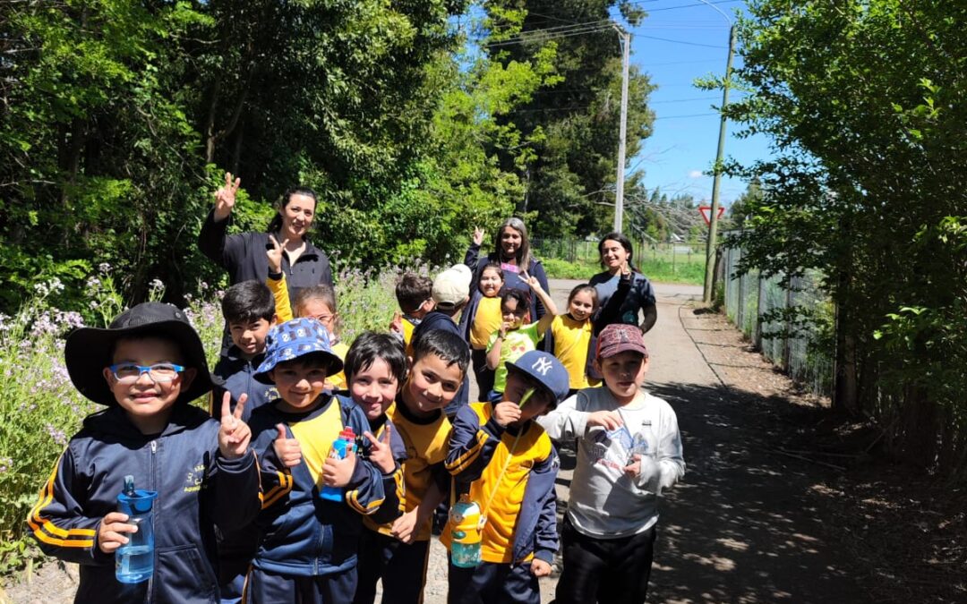 Caminata 1° Año Básico